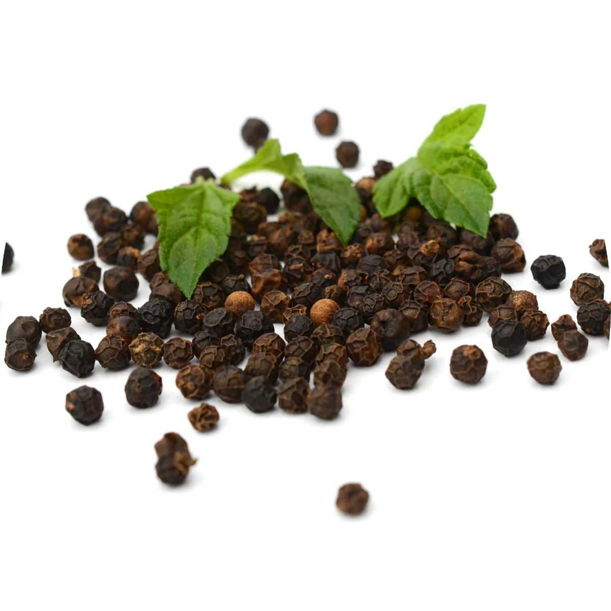 Black Pepper - Essential Oil - Image 2
