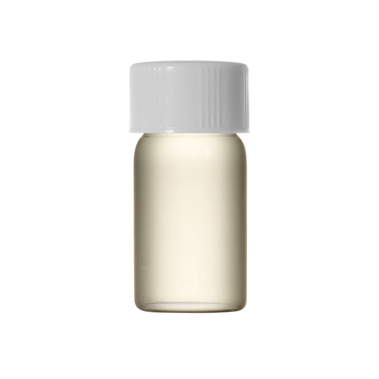 Camellia - Carrier Oil - Image 2