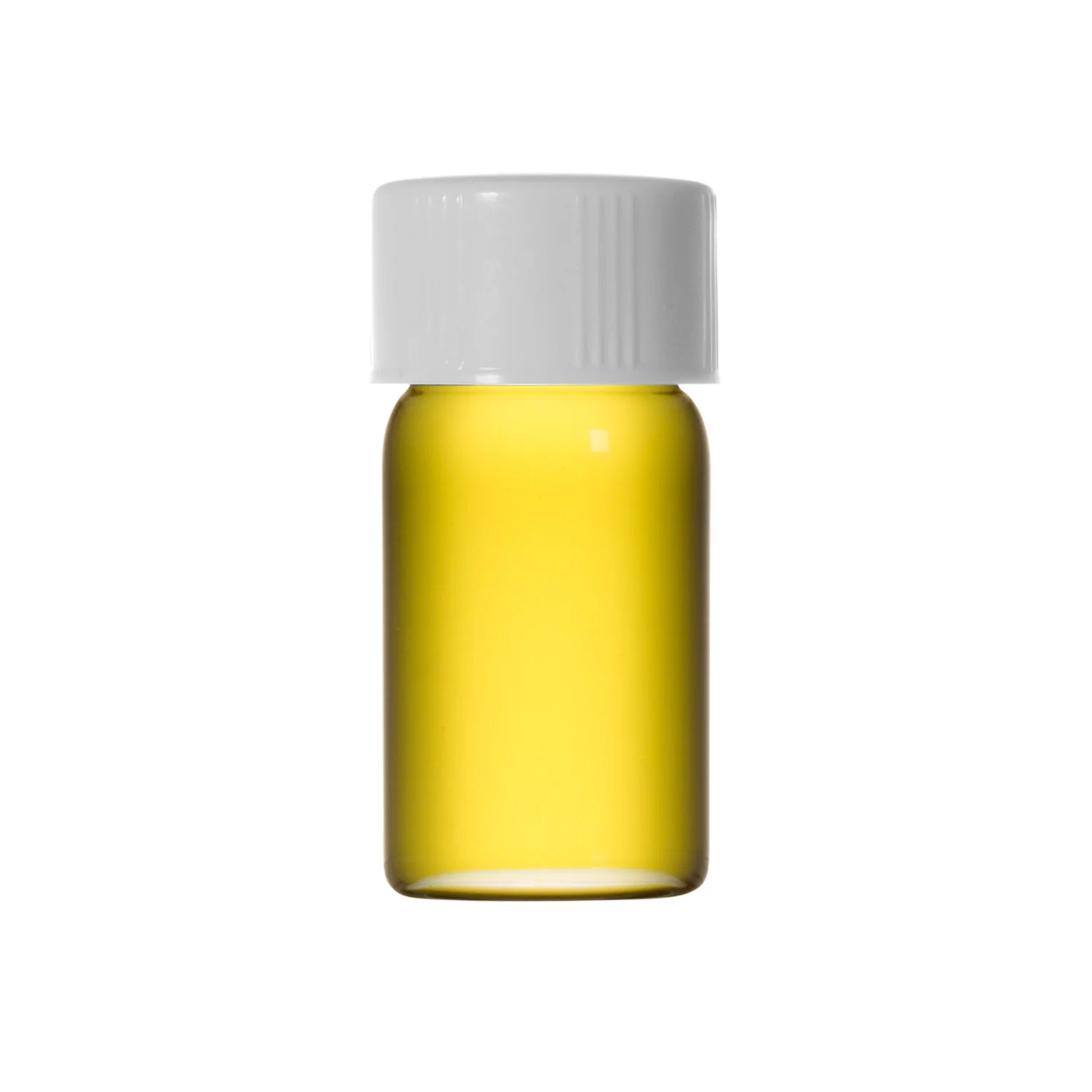 Evening Primrose - Carrier Oil - Image 2