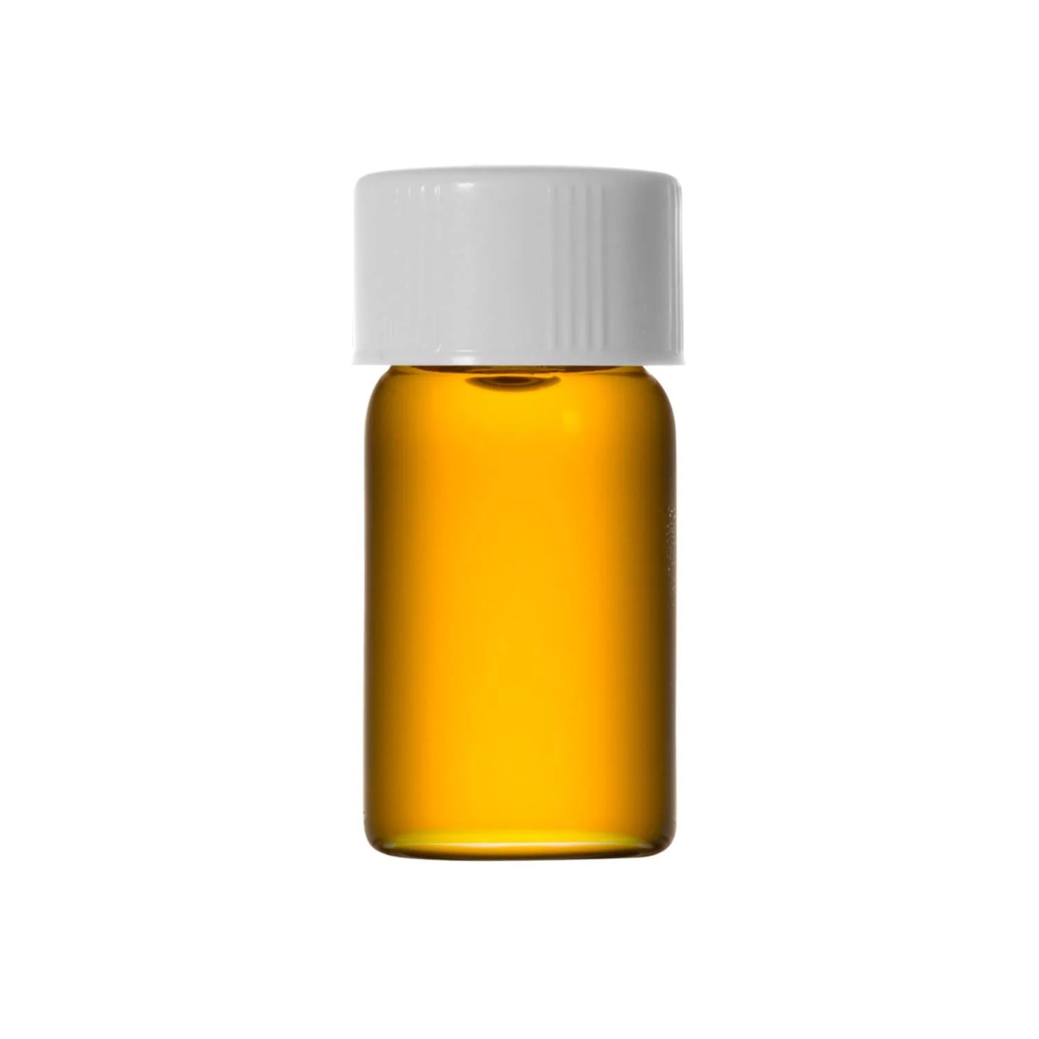 Seabuckthorn - Carrier Oil - Image 2