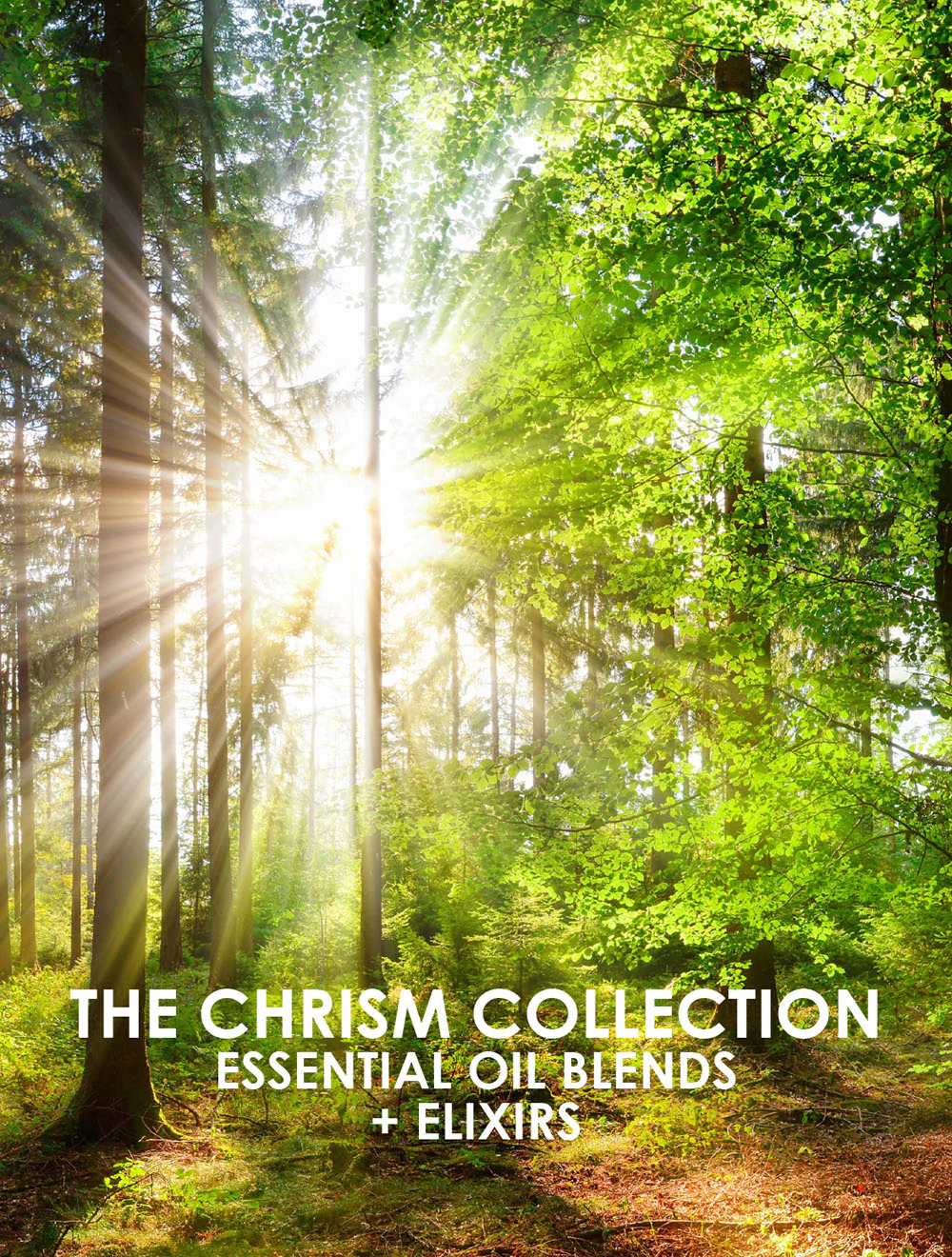 The Living Libations - Printed Booklets - Image 4
