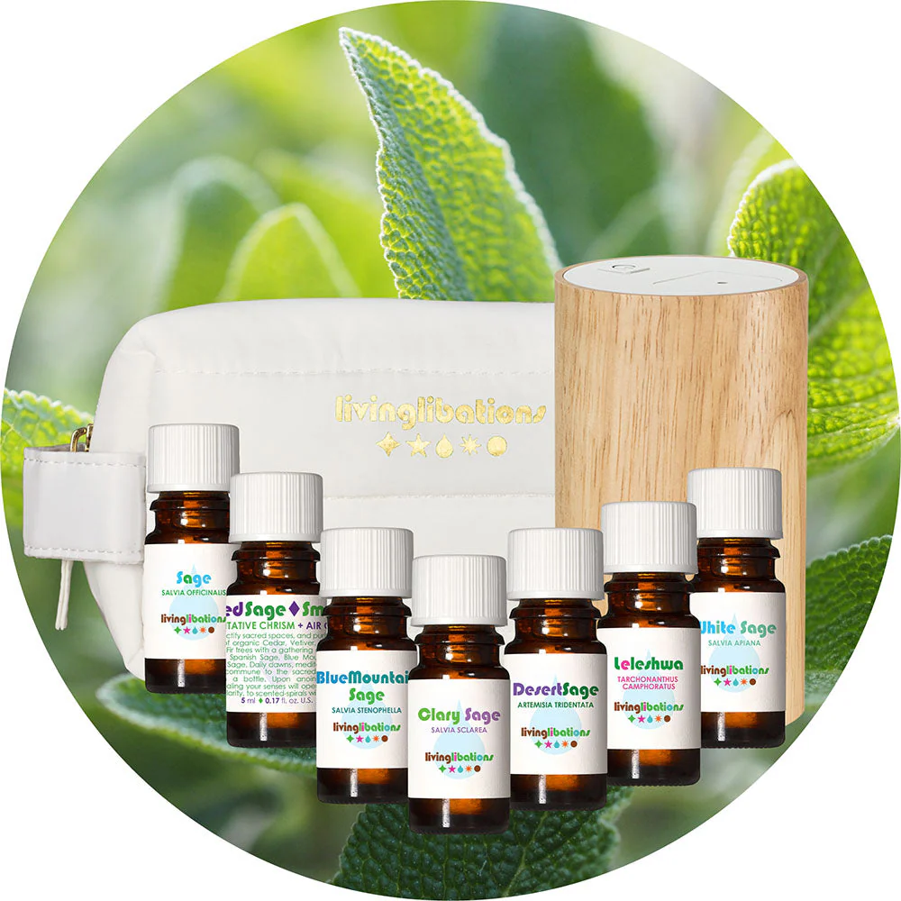 THE SYMPHONY OF SAGES DISCOVERY KIT